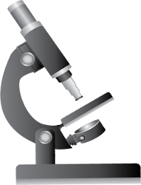 (Microscope Image)